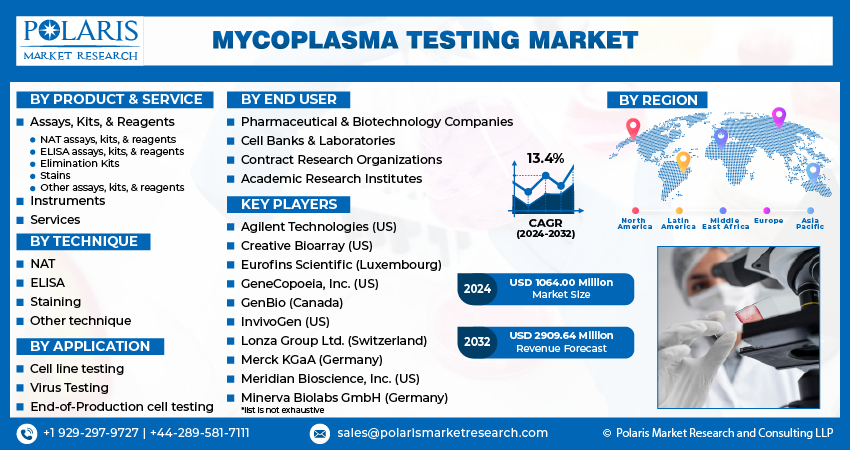  Mycoplasma Testing